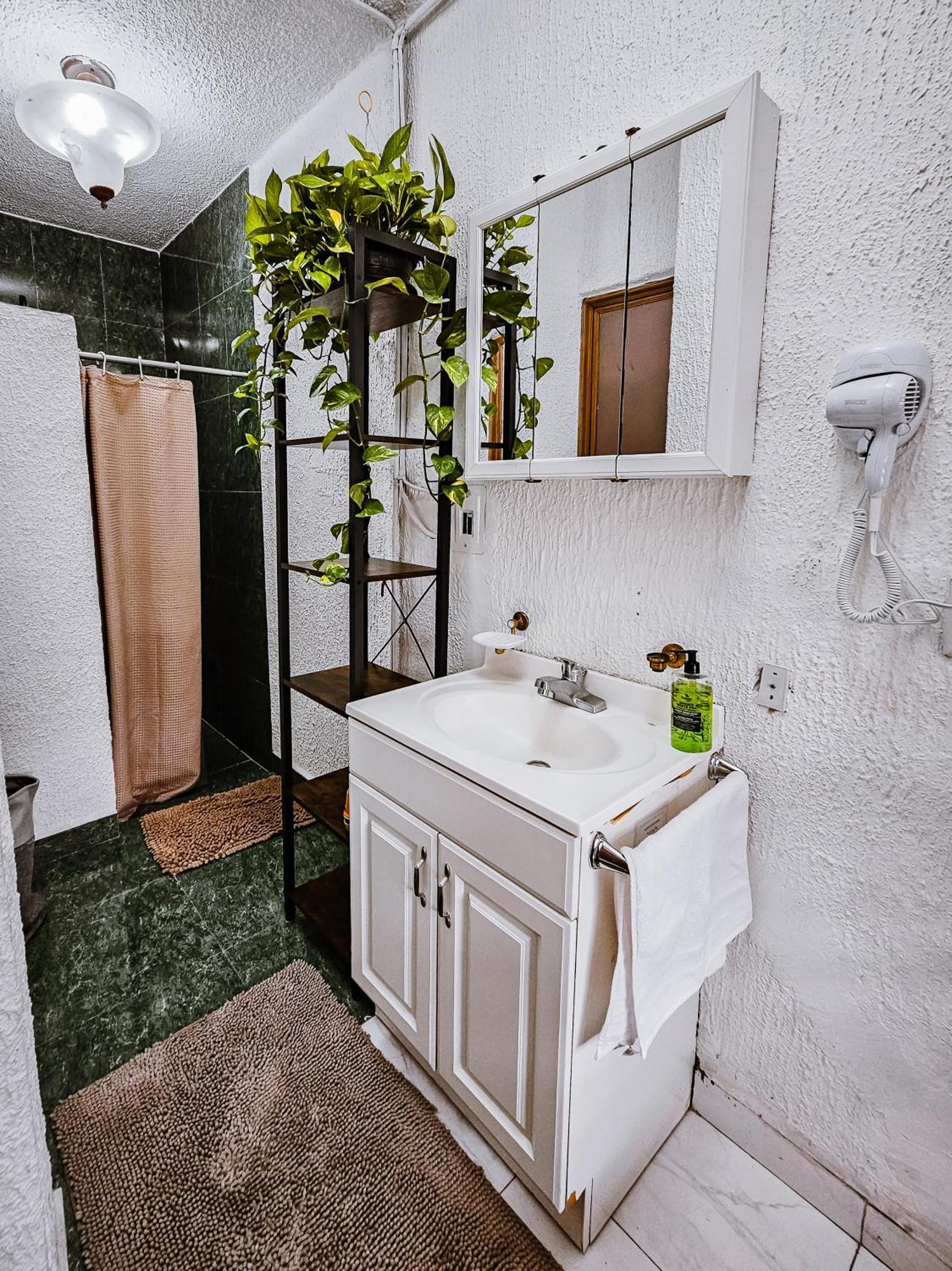Habitacion Con Bano Privado B, Centro De Coyoacan Mexico City Phòng bức ảnh