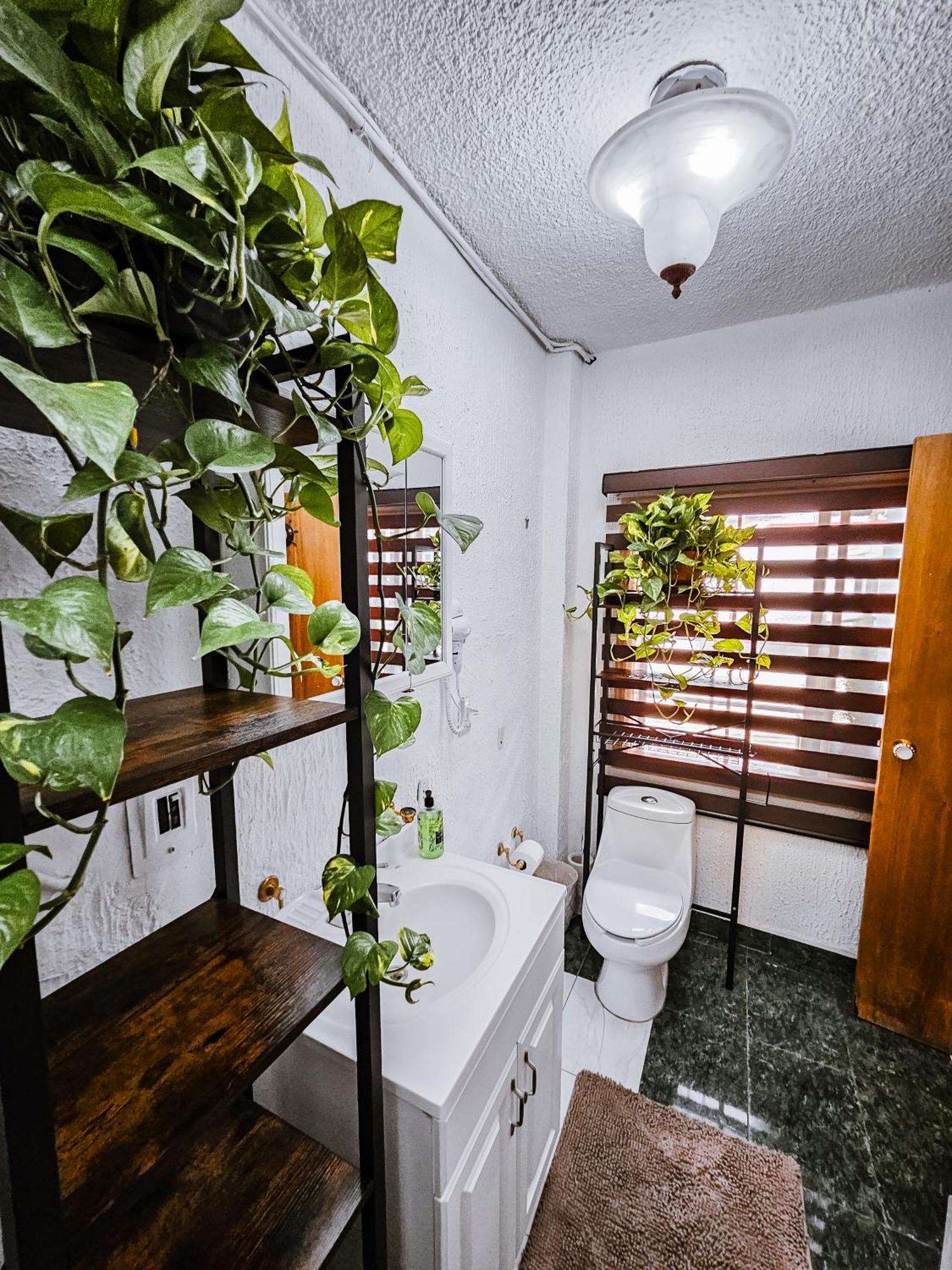 Habitacion Con Bano Privado B, Centro De Coyoacan Mexico City Ngoại thất bức ảnh